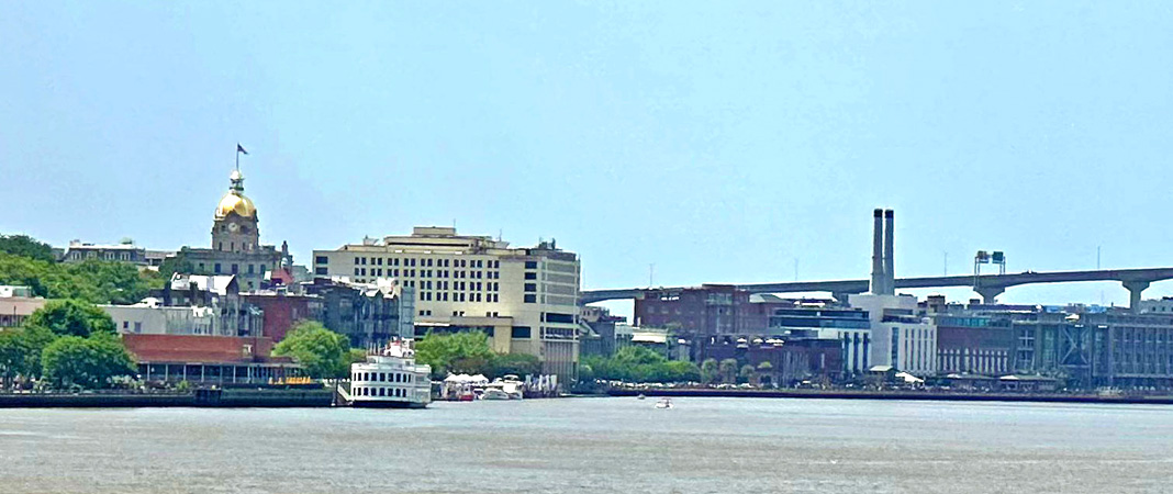 Savannah Skyline